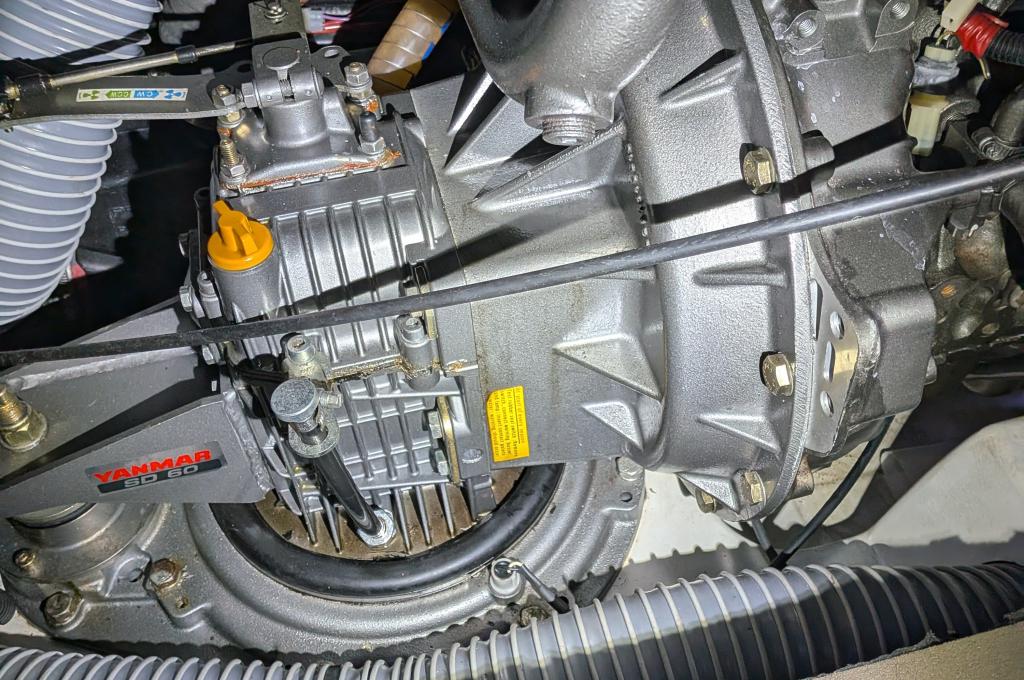 Original photo from a customer | taken on Sep 20, 2025