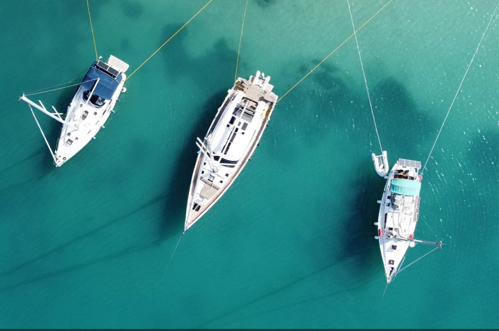 Catalog photo (may differ)