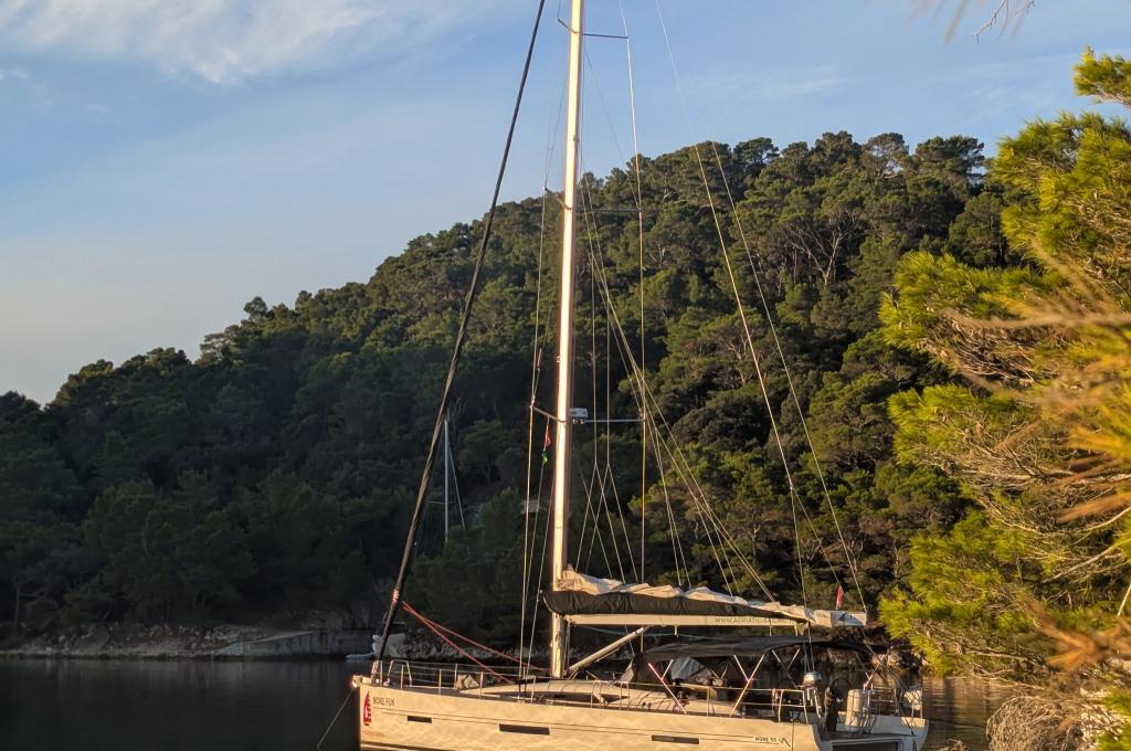 Original photo from a customer | taken on Oct 13, 2025