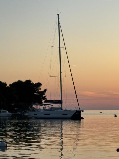 Original photo from a customer | taken on Jun 1, 2025